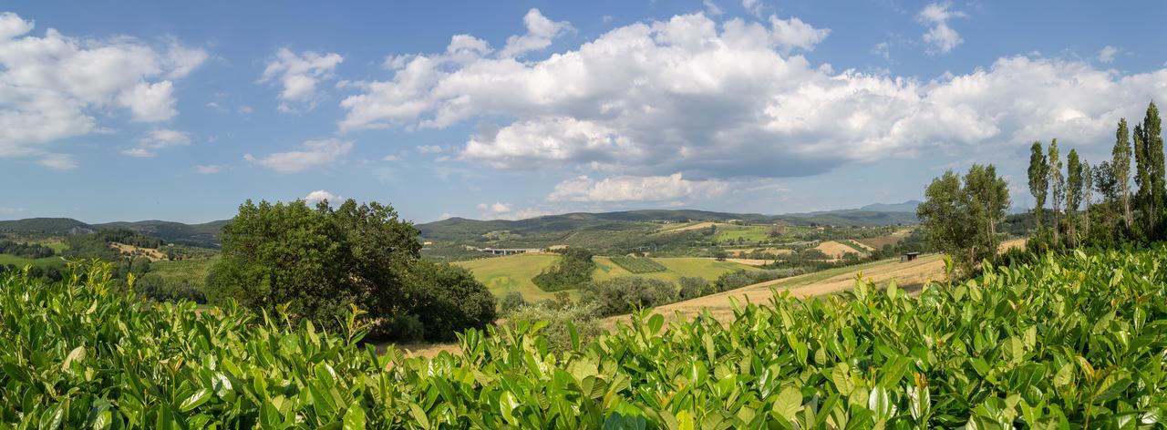 Agriturismo Dei Casali Amelia Zewnętrze zdjęcie